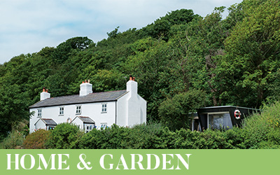 Home & Garden
